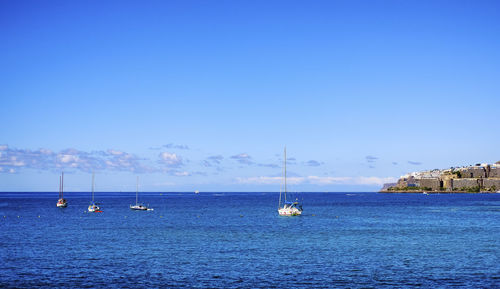 Sailboats sailing in sea against blue sky