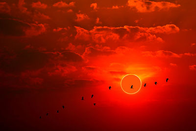 Low angle view of silhouette birds flying against orange sky