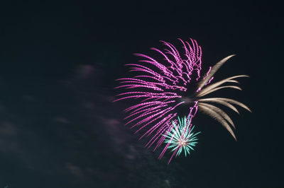 Low angle view of firework display against sky at night