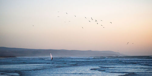 Silhouette birds flying over sea against sky