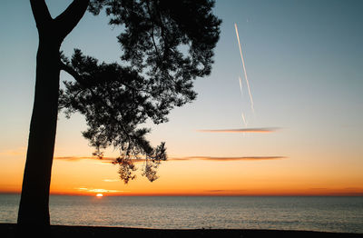 Silhouette tree by sea against sky during sunset