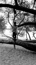 Woman standing on tree trunk