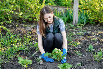 Woman works on the ground growing organic plants, fruits and vegetable