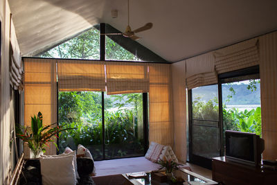 Potted plants on glass window