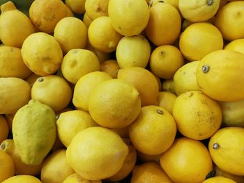 Full frame shot of oranges