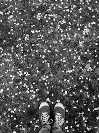 Low section of person standing on ground