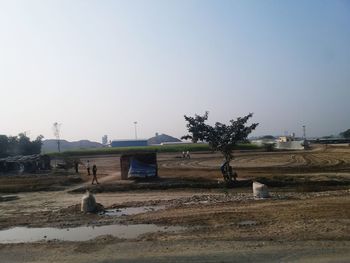 Trees on field against clear sky