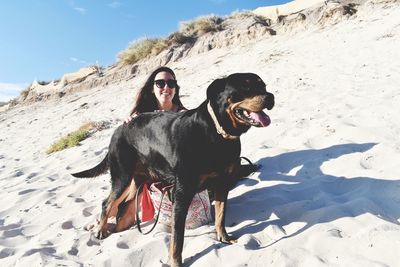 Portrait of dog with woman on a beach