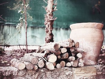 Close-up of logs on tree trunk in forest