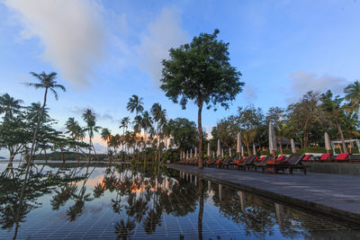 Palm trees by swimming pool against sky