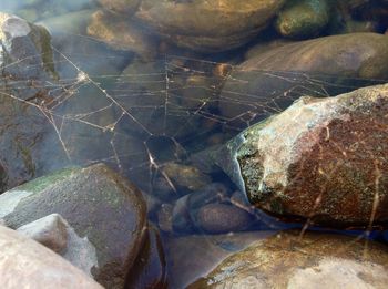 Rocks in water