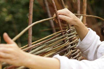 Cropped hands making wicker basket