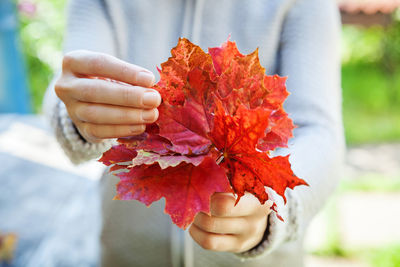 Midsection of woman holding red flower