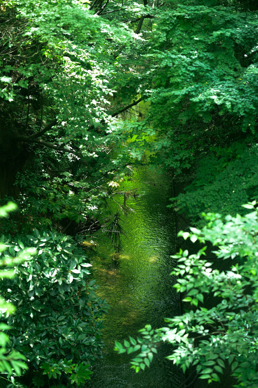 SCENIC VIEW OF LAKE