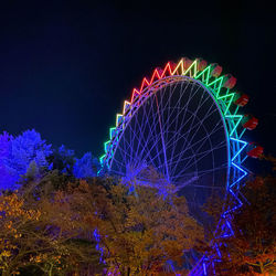 Low angle view of illuminated ferris wheel against sky at night