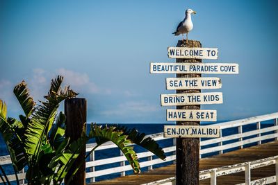 Low angle view of birds perching on sign against clear sky