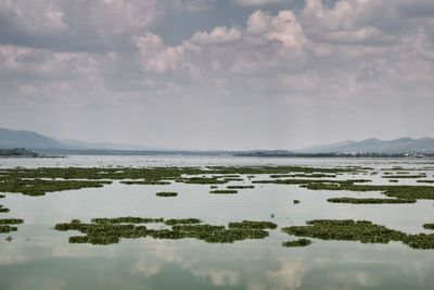 Scenic view of lake against sky