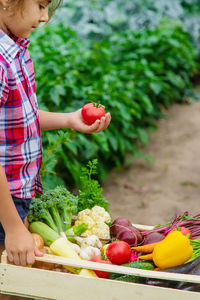 Portrait of boy holding vegetables