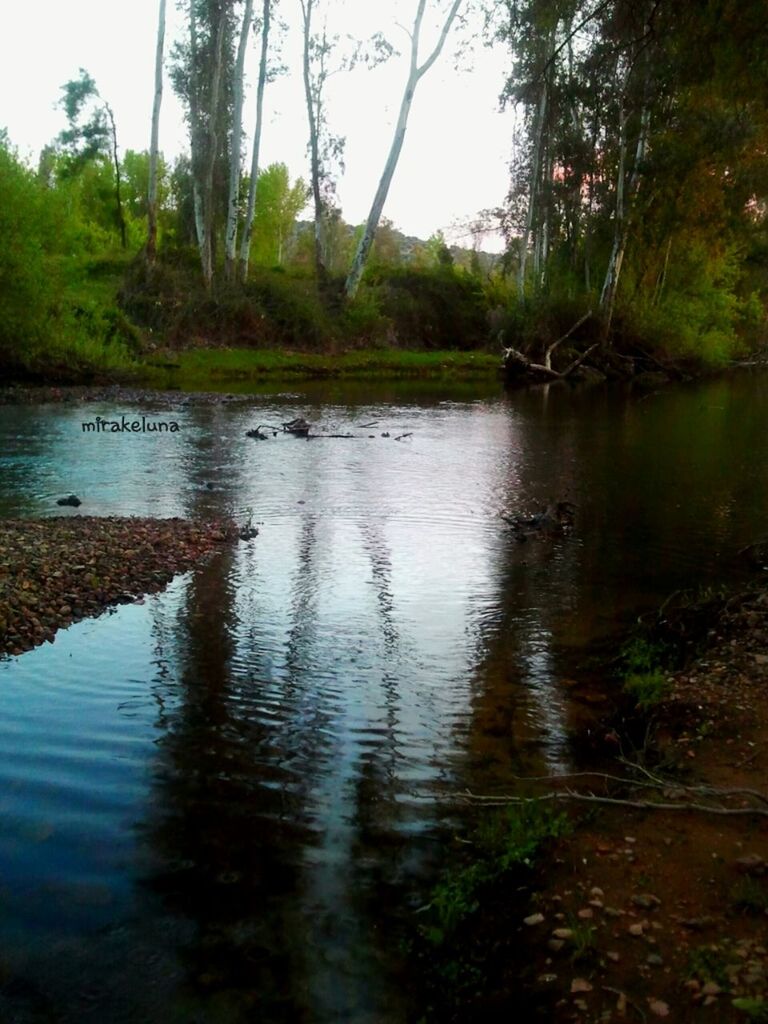 Rio Guadiana