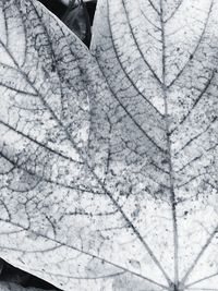 Full frame shot of human hand