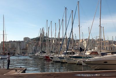 Sailboats moored in harbor