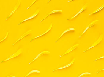 Full frame shot of orange