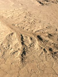 High angle view of footprints on sand