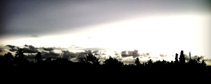 Silhouette trees against sky during sunset