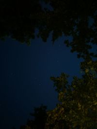 Low angle view of trees against sky at night