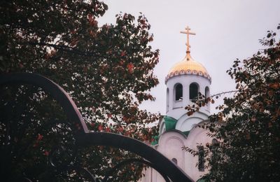 Low angle view of trees and building against sky