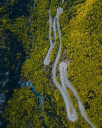High angle view of yellow road amidst trees