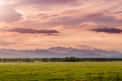 Scenic view of field against sky during sunset