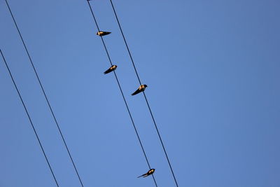 Low angle view of crane against clear blue sky