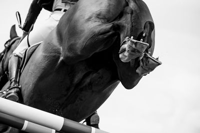 Close-up of man smoking cigarette against sky