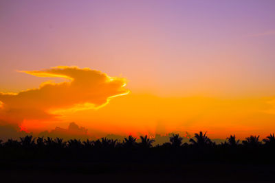 Silhouette trees on field against orange sky