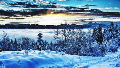 Snow covered landscape at sunset