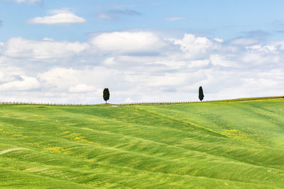 Scenic view of agricultural field against cloudy sky