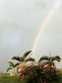 Scenic view of rainbow against sky