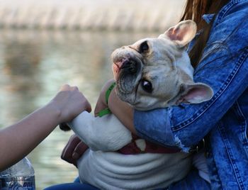 Man holding dog