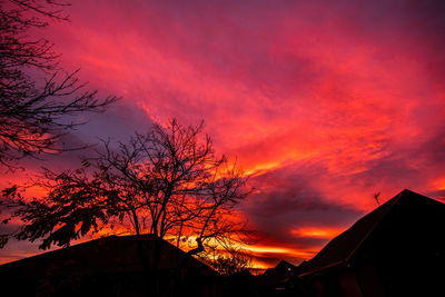 Low angle view of silhouette tree against sky during sunset