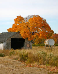 Trees on landscape against sky during autumn