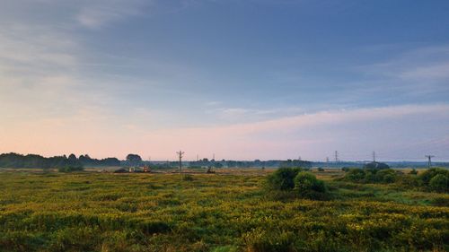 Scenic view of field against sky