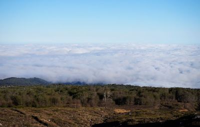 Scenic view of landscape against sky