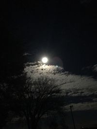 Low angle view of trees against sky at night