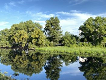 Reflection of trees in lake against sky