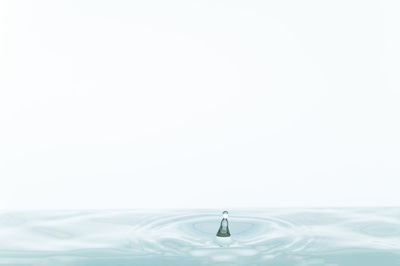 Close-up of water drop against white background