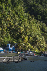 Boats moored in sea