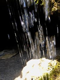 Close-up of icicles on rock at night