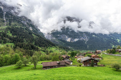 mountain