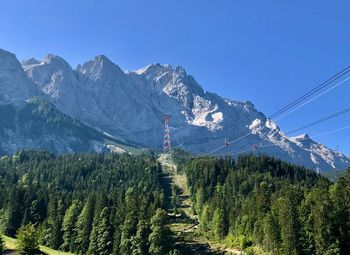 Panoramic view of pine trees against sky